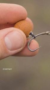 How To Tie The DEADLY Turbo German Rig Feeling overwhelmed by complicated carp rigs? Then allow us to introduce you to the Turbo German Rig! To watch it, click the link ➡️ https://youtu.be/6JLMQbZ4VPk or search CARPology on YouTube.⁠ #TurboGermanRig #CarpRigs #CarpFishing #CarpFishing2024 #Fishing #CARPology #CarpFishingReviews | CARPology Magazine