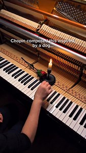 4.3K views · 2K reactions | According to a well-known anecdote, the idea came from Marquis, the small dog of George Sand, a famous French writer and Chopin’s partner at the time.  The dog often chased its own tail, turning in tight circles.Chopin observed that movement and transformed it into music with a continuous, circular flow. This waltz was written as a dance, not as a display of speed. ✨ #candlenotes #piano #chopin | CandleNotes | Facebook