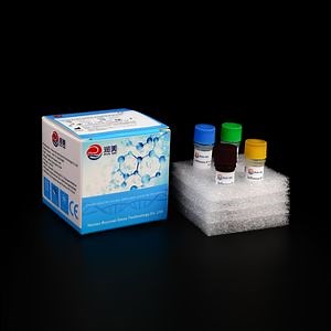[Hot Item] Ivd PCR Kit Influenza B Virus Victoria Yamagata Dual DNA Detection Kit