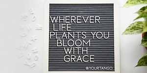 50 Positive Letter Board Quotes For Life In Quarantine