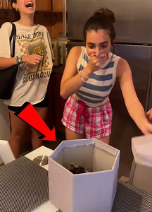 112K views · 821 reactions | Introducing the Littlest Member of Our Crew | Darcy Donavan | Facebook