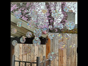 16 Pcs Anti-Collision Decals for Bird Strikes - Save Birds From Collisions, Non-Adhesive Reusable Vinyl Rainbow Stickers for Windows