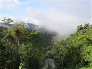 National Geographic Lodges | A Timelapse of a Morning at Mashpi Lodge