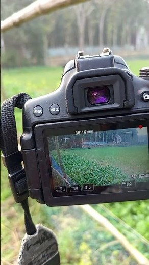 750d canon with 18-135 lens focused