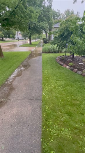 2.9K views · 99 reactions | A walk through to show how you can control your flooding problems with a rain garden. #raingarden #nativegardening #savingmonarchs #naturalgarden #rainbarrel | Saving Monarchs | Facebook