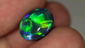 Opal Auctions on Reels