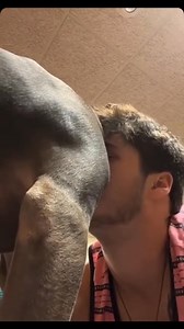 14K views · 256 reactions | Sniff your dog’s hindquarters | Incorrect Harry Potter | Facebook