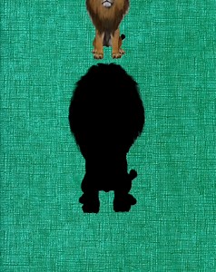 42K views · 605 reactions | 99,9% impossible 樂 | DoDo channel | Facebook