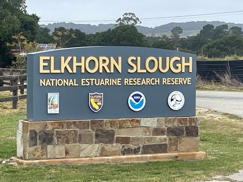 Hiking Elkhorn Slough | Hidden Gem in Monterey County