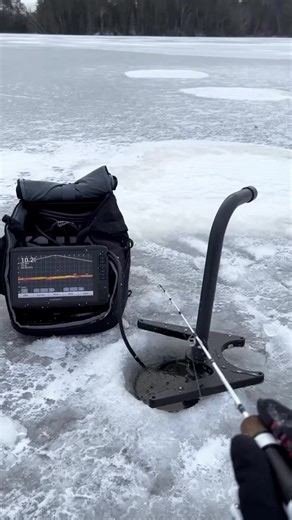 Garmin livescope ✖️ White Bird ICE combo #icefishing #livescope #hardwater #panfish #favoritefishing #outdoors | Favorite Fishing Rods