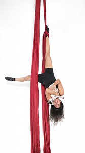  Now booking Aerial + Pets photoshoots at our Los Angeles studio!...