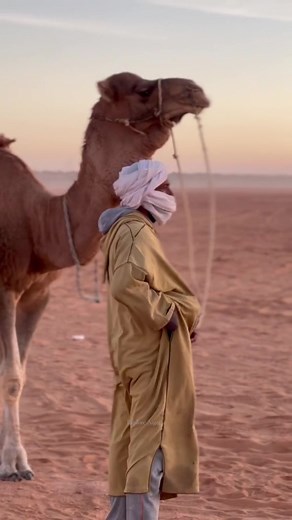 Beautiful Algerian Desert 🏜️🌴🐪 🥷⛺️🏜️#Explore_Algeria #explorealgeria #Alger #algerie #algeria #dzpower #123VivaLAlgerie | Explore Algeria