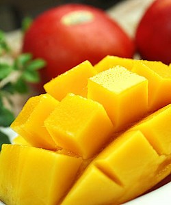 観光史跡・施設