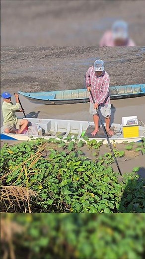 Fishing fish | Cao thủ Kích Cá vuông tôm chích là nổi #shorts #kichca