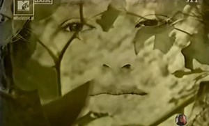 Daab - Ogrodu serce, 1985 | Legendy muzyki