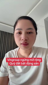 Vingroup ngừng mở rộng quỹ đất bất động sản ở Việt Nam