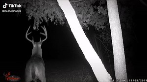 Most effective scent system on the market Heated Hunts Scent Dispenser. Get yours at Www.heatedhunts.com #heatedhunts #whitetail #hunting #deerhunting #deer #bowhunting #archery #outdoors #whitetaildeer #deerseason #hunt #whitetailhunting #huntingseason #bigbuck #whatgetsyououtdoors #buck #hunter #bowhunter #wildlife #huntinglife #bigbucks #nature #whitetailbuck #bowandarrow #turkeyhunting #trailcamera #trailcam #realtree #bowseason #whitetails | Heated Hunts