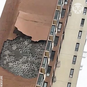 77K views · 545 reactions | Strong winds caused chaos as trees fell and buildings were damaged | Earth Wonders | Facebook