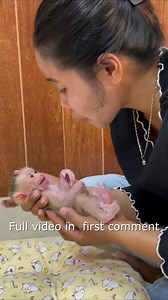 65K views · 1.5K reactions | New Mom Use Syringe To Feed Milk For NB Baby Monkey4 Full video in first Comment ! | Monkey Wild | Facebook