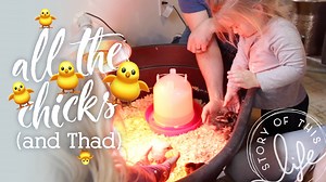 164K views · 3.5K reactions | We've just added our first farm animals to the Anderson farm- baby chicks! The girls were SO excited (and Thad and I may or may not have been just as excited, if not more ) Now to learn all the things about chickens... we've never raised them. Give us all your best tips! | Story of This Life | Facebook