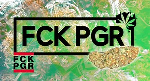 PGR: The Toxic Chemicals in Your Marijuana - Friendly Aussie Buds