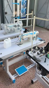 MSC Machines Mebarek on Reels