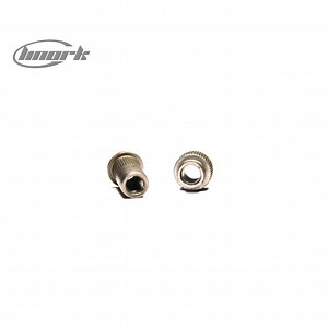 [Hot Item] Stainless Steel 310 Hex Nut/ Types of Standard and Non-Standard Fasteners