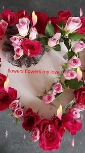 78K views · 2.7K reactions | ️列♥️️列♥️列 Buenos días tengan todos que Dios consu immenso amor de rame lluvia de bendiciones para ti y los tuyos ♥️️ amiga amigos pidamos la paz para el mundo entero♥️ con este lindo canto lindo video qué lo hice con mucho amor especialmente para ti que Dios te bendiga hoy mañana y siempre ♥️ | Flowers Flowers my love | Facebook