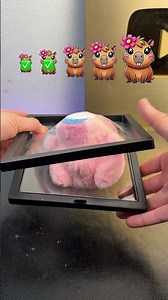 Sigma Capybara Evolution 😂