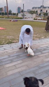 2.2K views · 18 reactions | الصّداقة هي ملح الحياة | Aram.Tv | Facebook