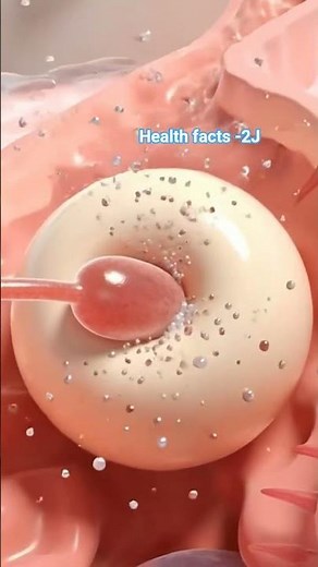 Healthy baby Ovulation & Pregnancy Timing | Humans body in Conception#positivebirth #babyplanning