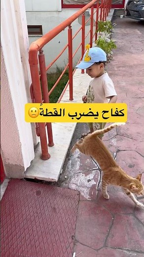 😫😱 كفاح يضرب القطة