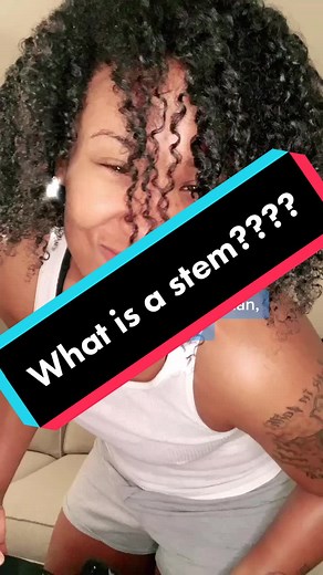 Understanding Stem Lesbians: Exploring Gender Expression in the LGBTQ Community