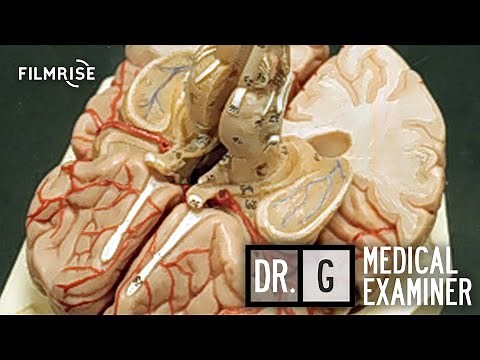 Dr. G: Medical Examiner - Season 3, Episode 3 - Deadly Destination - Full Episode
