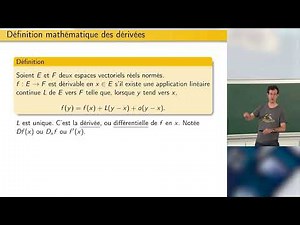 2026 - Sébastien Gouëzel, Une présentation de Lean et Mathlib à base d'exemples mathématiques II