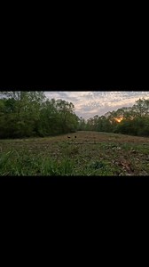 Catching them Ol’ Gobblers sounding off!! #averagejoe #HRXNATION #turkey #turkeyseason #sound #soundoff #loud #gobblegobble #calling | Hunting RX
