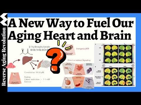 One Small Molecule That Changes Everything in Your Aging Brain!!!