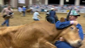 109K views · 1K reactions | Meanwhile in Taylor, TX...Wild Steer saddling is apparently a thing 臘‍♀️ | Rodeo Wrecks | Facebook
