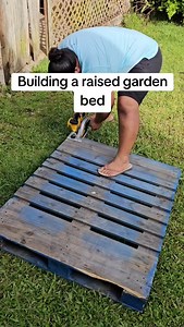 In the effort to grow more of our food, my husband decided he would make us a raised garden bed out of a old pallet. Thanks babe! @jhadkosrae #kosrae #micronesia #island #pacificislander #sustainability | Andrea Hadik