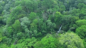 Viewed Above Guegue Waterfall Hidden Middle Stock Footage Video (100% Royalty-free) 3991618335 | Shutterstock