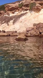 1.3K views · 58 reactions |  Scopri le meraviglie di Marina di Noto!...