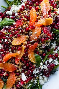 Blood Orange & Wheat Berry Salad