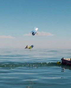 You’ll never go into the LEGO store again (or will you)  Jaws is back, with all your chums! | The Brick Shop LEGO Certified Store | Facebook