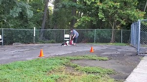 "Down/Stay" is a basic skill you can start teaching your puppy. We...