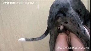 Sexo Animal - Se le monta en el culo a su sucia dueña el caliente perro by Zooskool