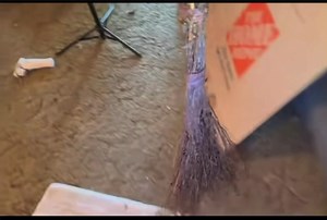 House full of roach 🪳 what would you do? | Gavin Gordon