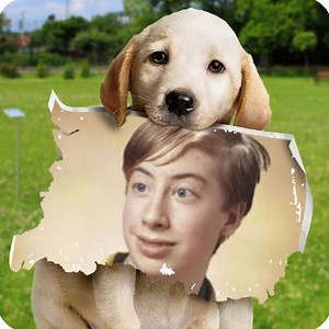 Photo effects. Marley. The cutest puppy