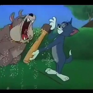 297K views · 10K reactions | Random compilation 2 on Reels | Facebook