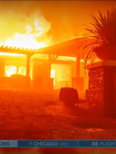 Wildfire Recovery: Portrett Busby's Story of Resilience