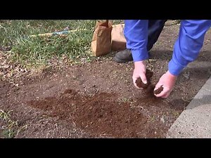 Lawn Repair - Planting Grass Seed